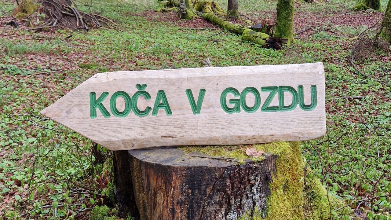 Photo of Others in Bled
