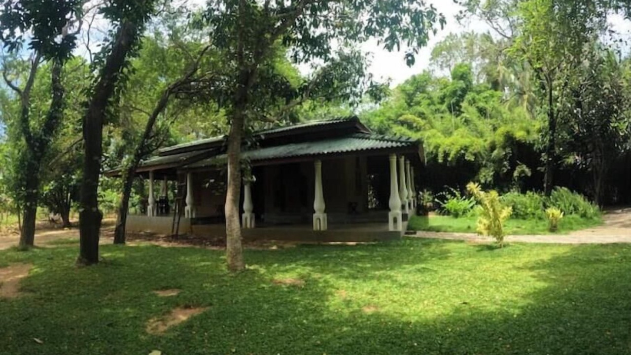 Photo of Outdoor in Ranawaranawa