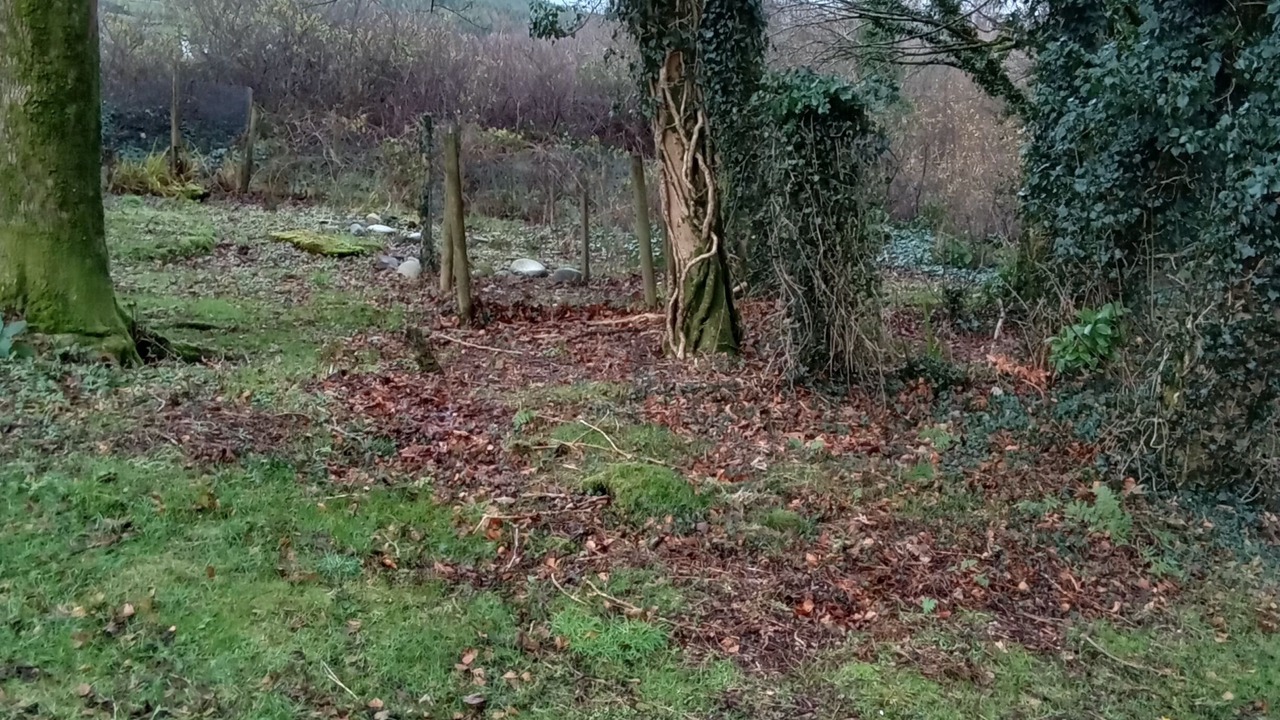 Photo of Others in Isle of Arran
