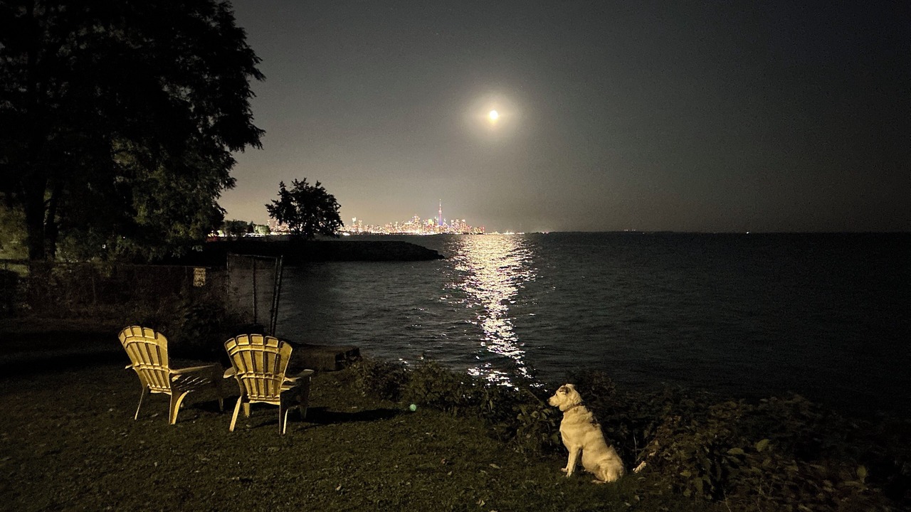 Photo of Others in New Toronto
