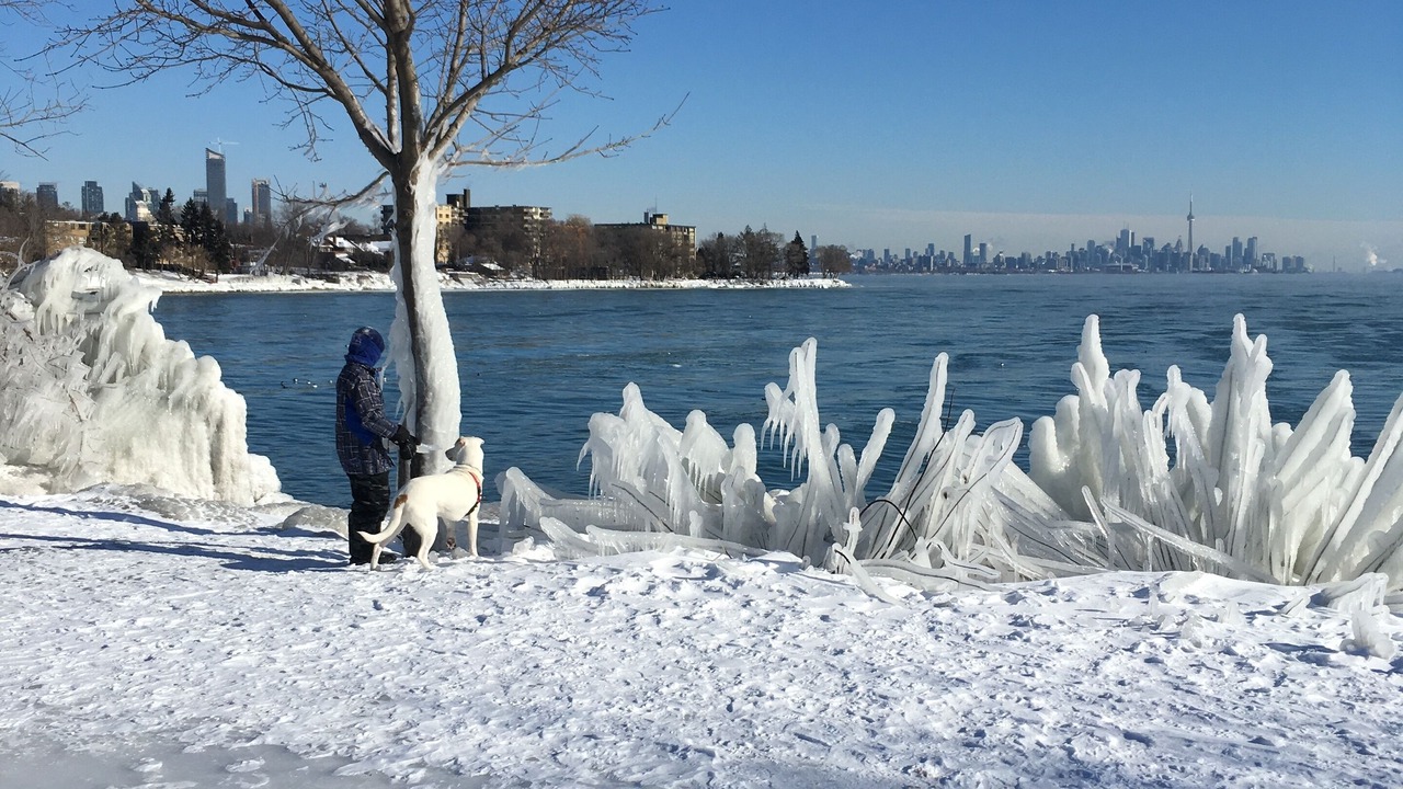 Photo of Others in New Toronto