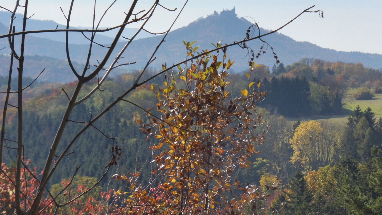 Photo of Others in Bisingen