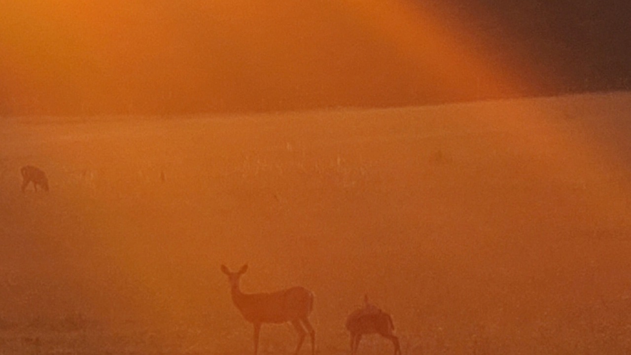 Photo of Others in Idaho County