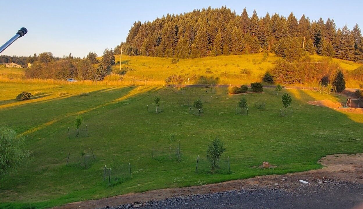 Photo of Others in Idaho County