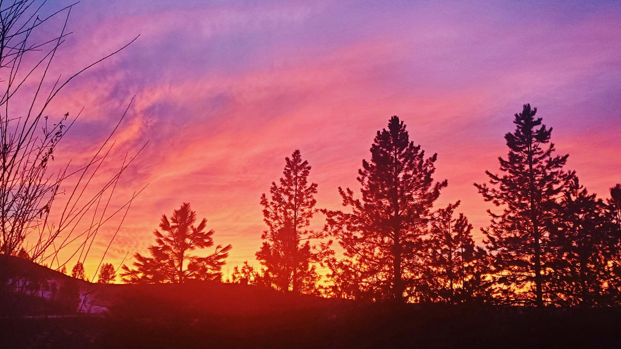 Photo of Others in Idaho County