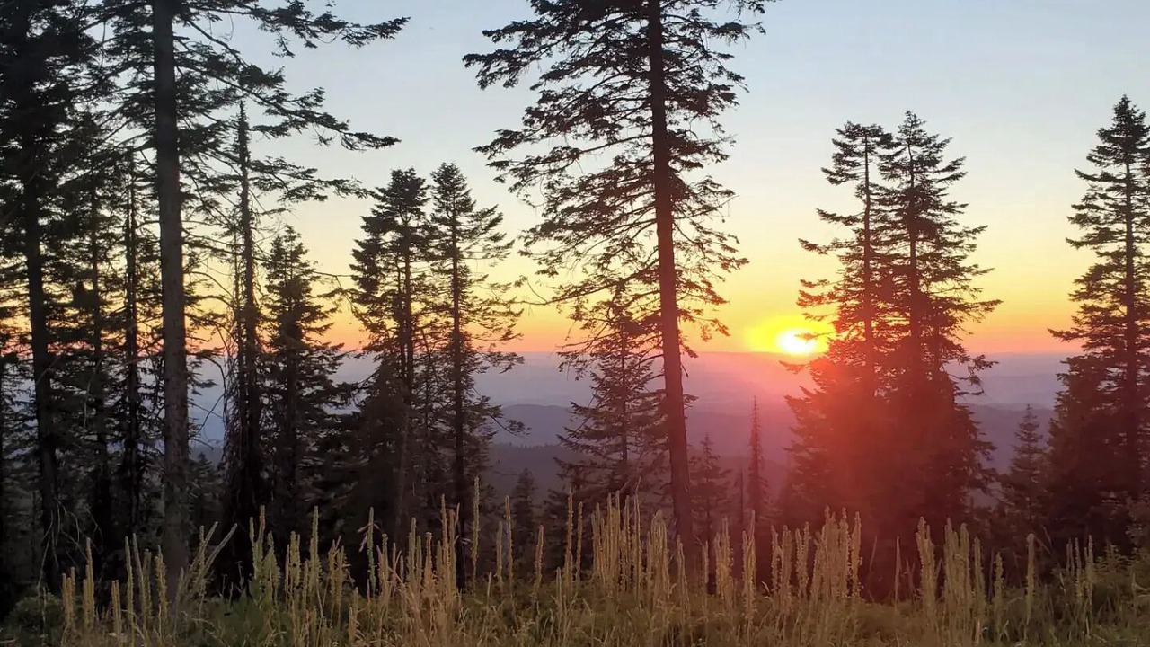 Photo of Others in Idaho County
