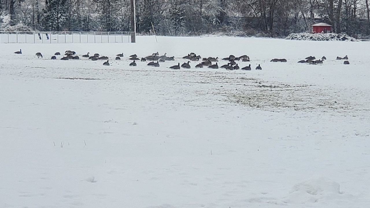 Photo of Others in Idaho County