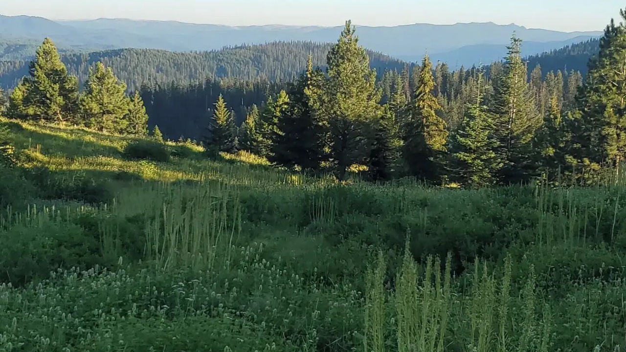 Photo of Others in Idaho County