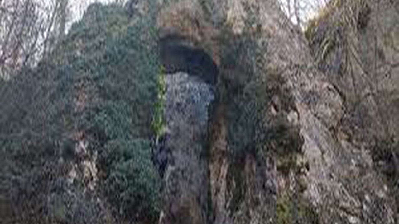 Photo of Others in Cabesti