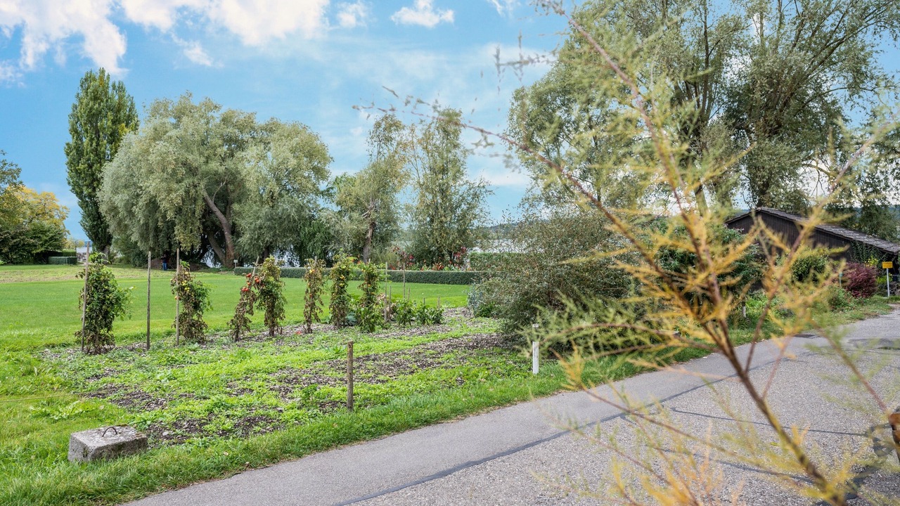 Photo of Outdoor in Lake Constance