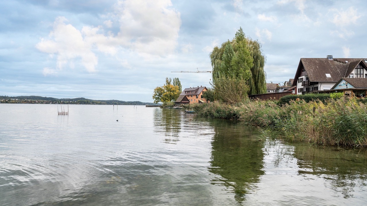 Photo of Others in Lake Constance