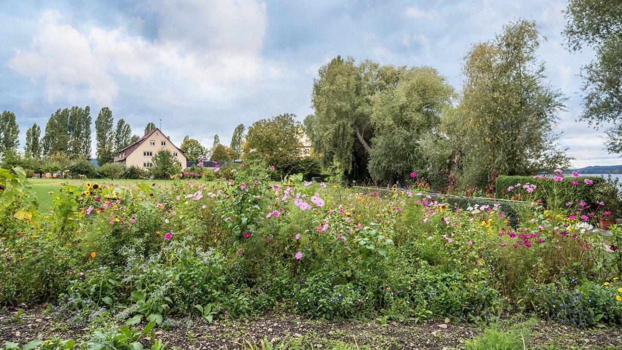 Photo of Outdoor in Lake Constance