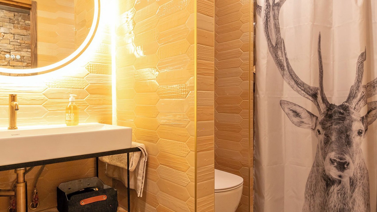 Photo of Bathroom in Bonneval-sur-Arc