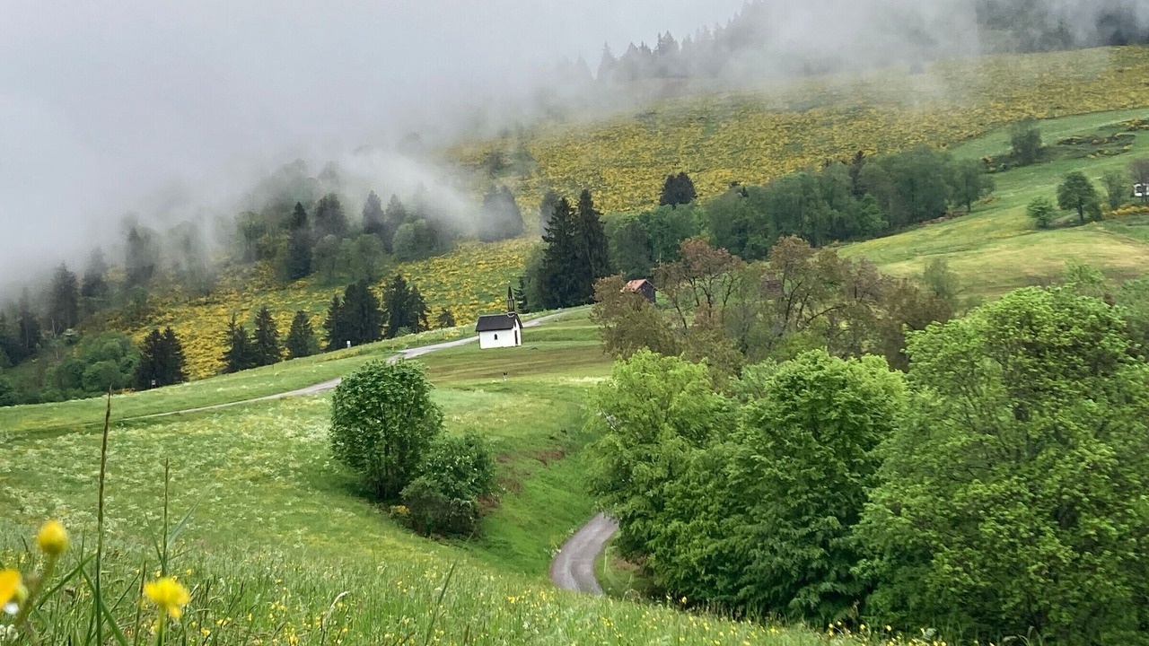 Photo of Others in Fresse-sur-Moselle