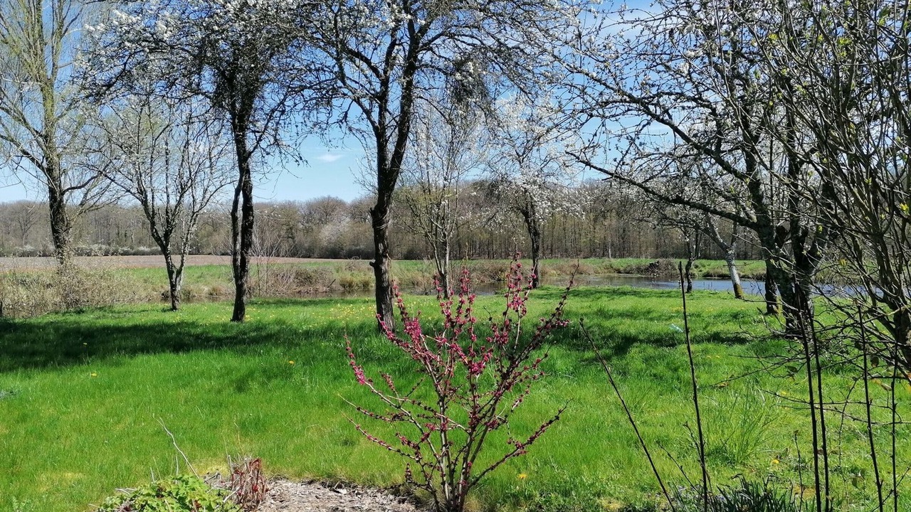 Photo of Others in Saint-Firmin-sur-Loire