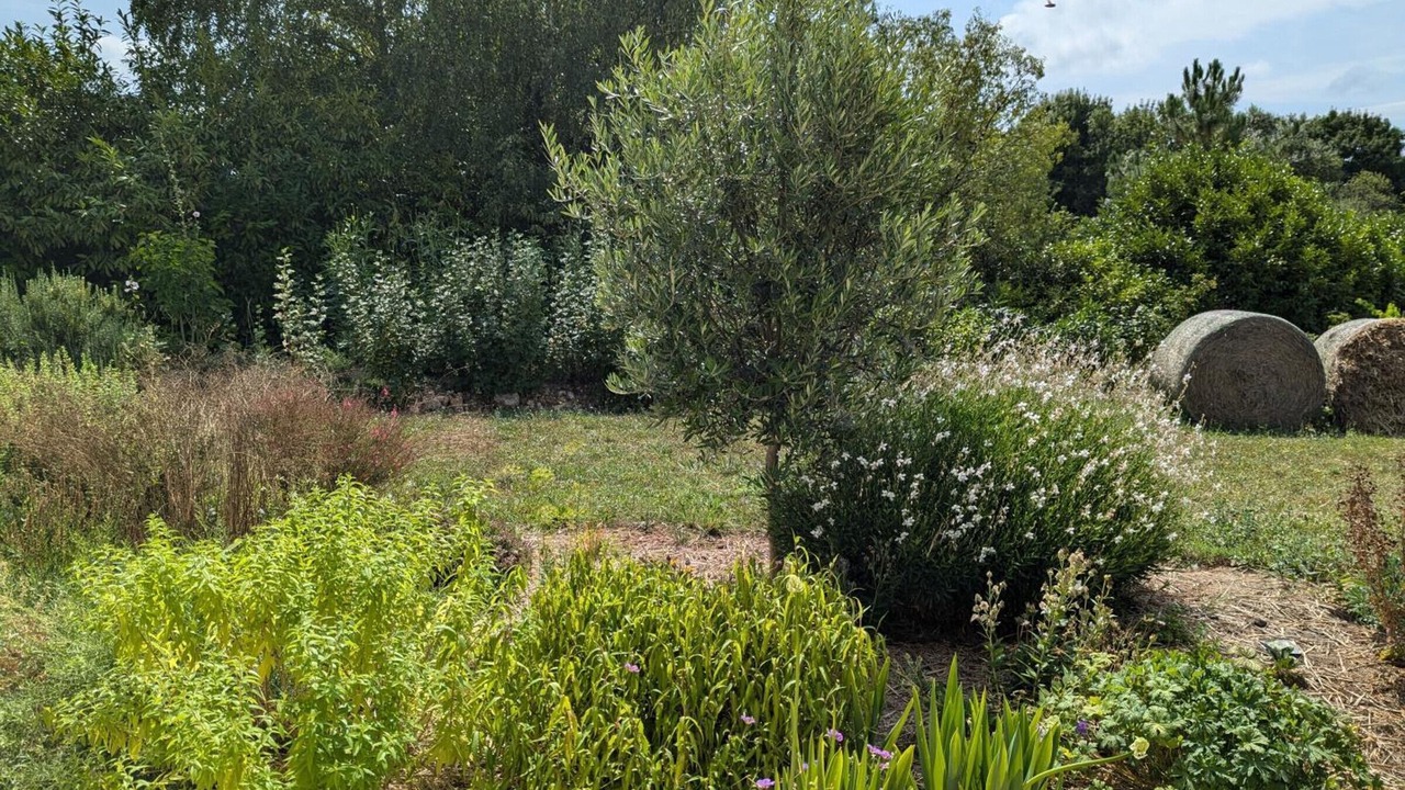 Photo of Outdoor in Touverac