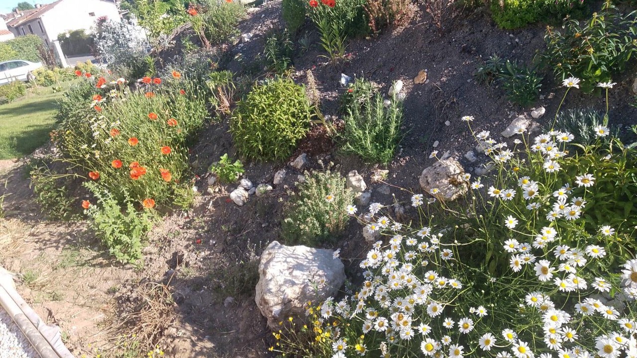Photo of Outdoor in Touverac