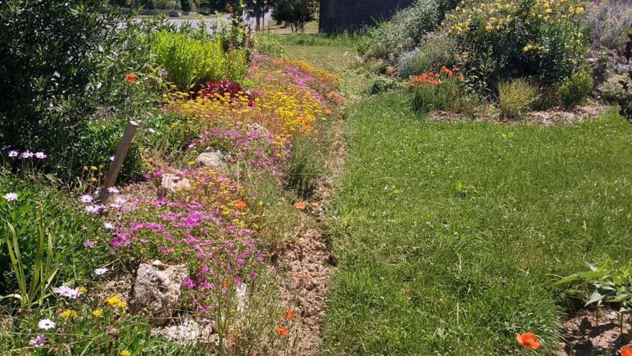 Photo of Outdoor in Touverac
