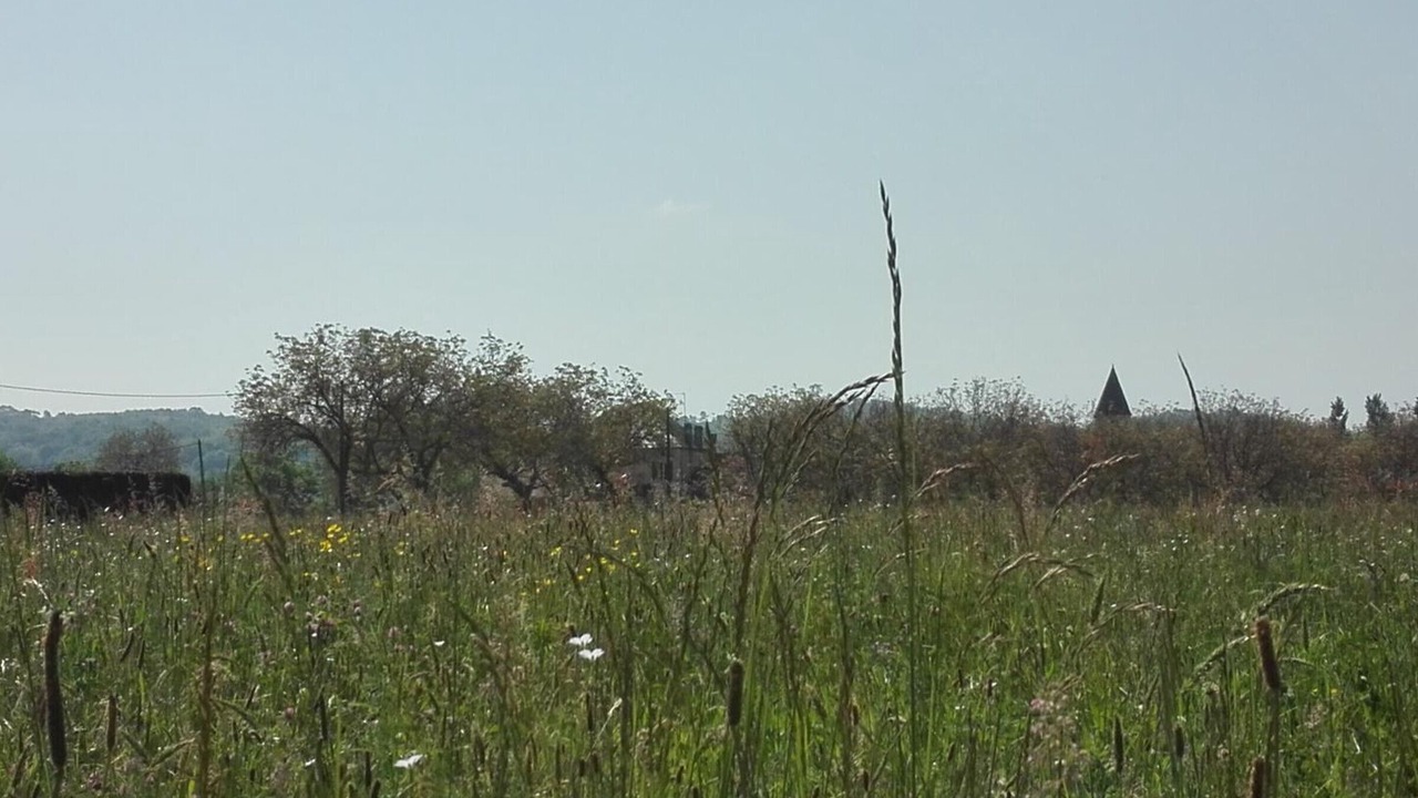 Photo of Others in Calviac-en-Perigord