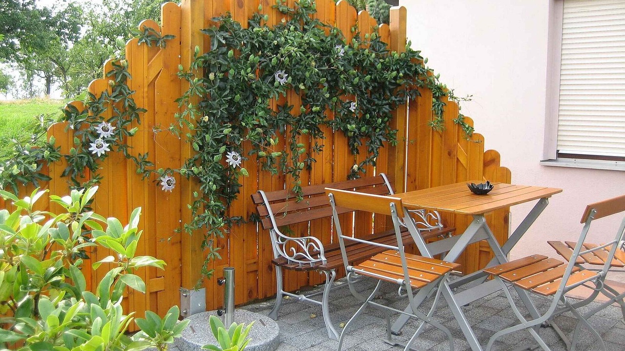 Photo of Outdoor in Freiamt