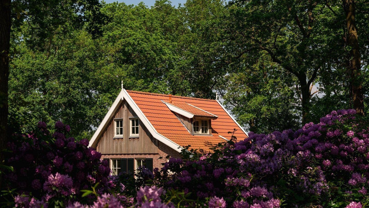 Photo of Outdoor in Hoge Hexel