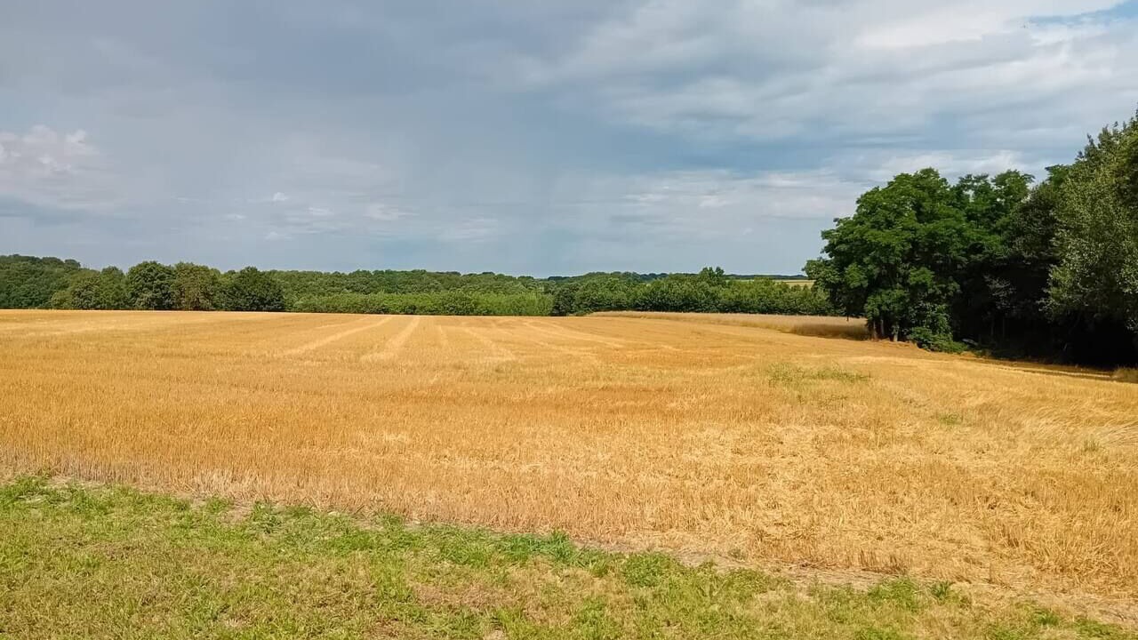 Photo of Others in Faverolles