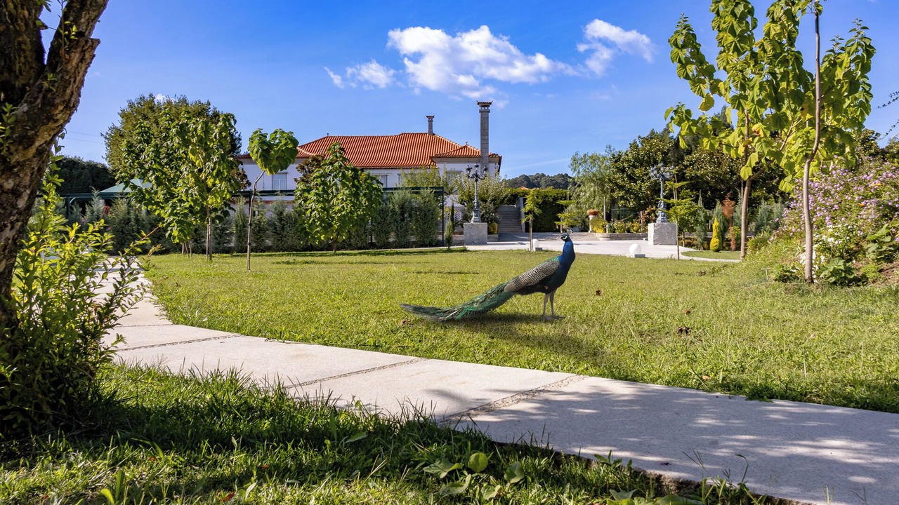 Photo of Outdoor in Ronfe