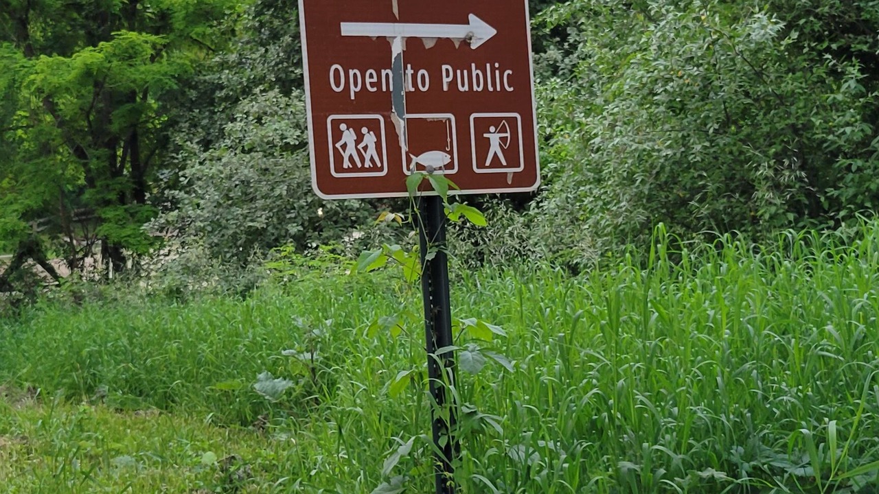 Photo of Outdoor in Fenton