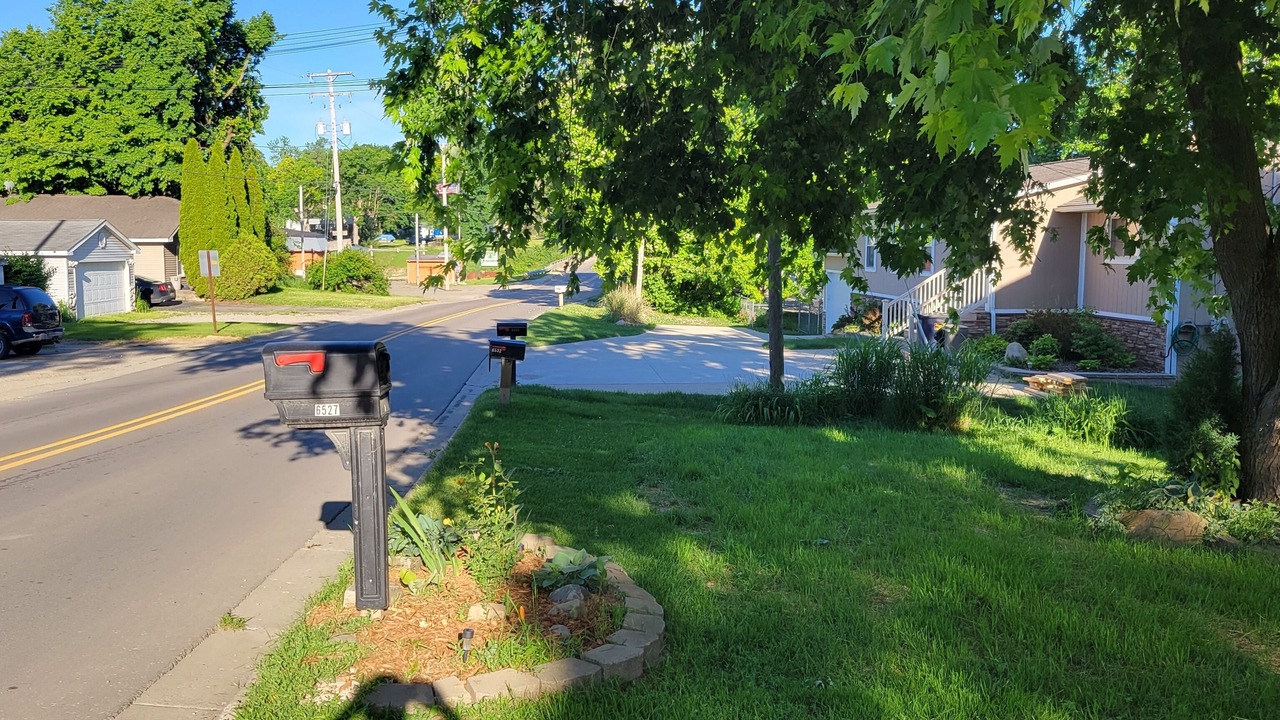 Photo of Outdoor in Fenton