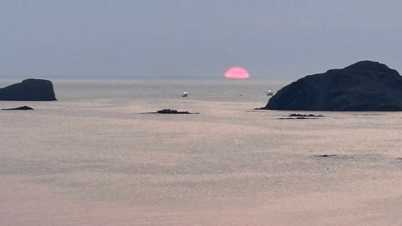 Photo of Others in Twillingate