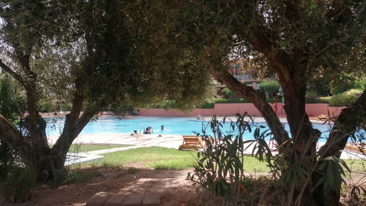 Photo of Outdoor in Palmeraie