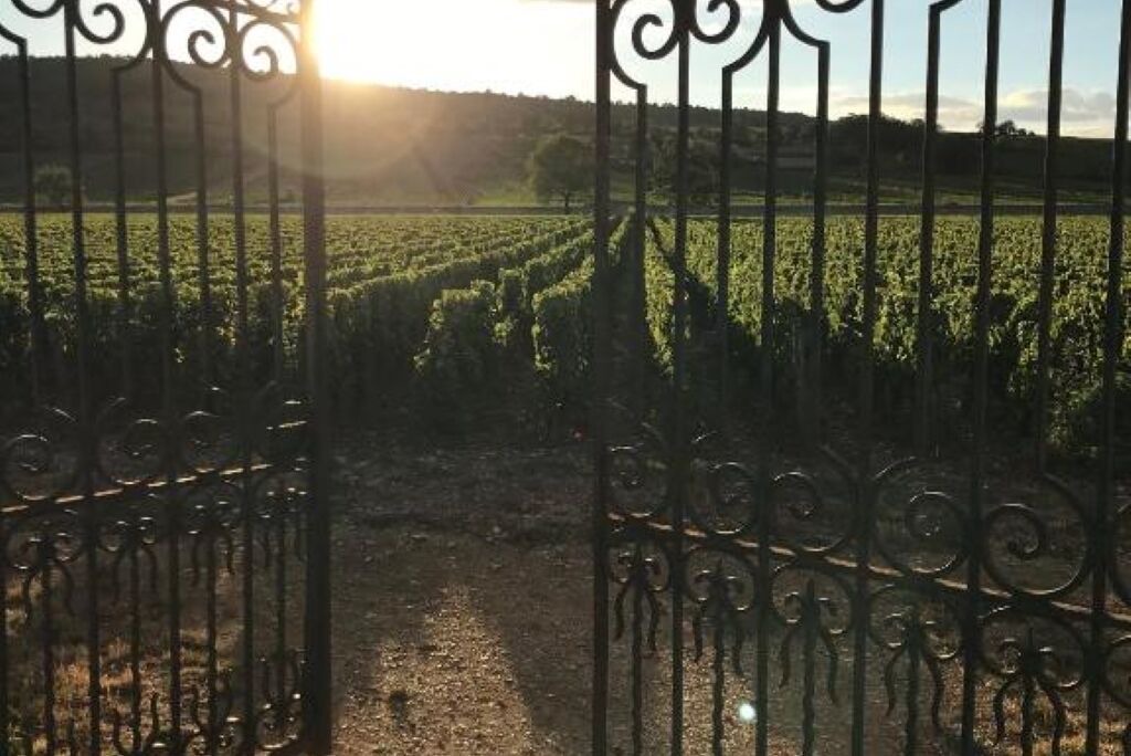 Photo of Others in Meursault
