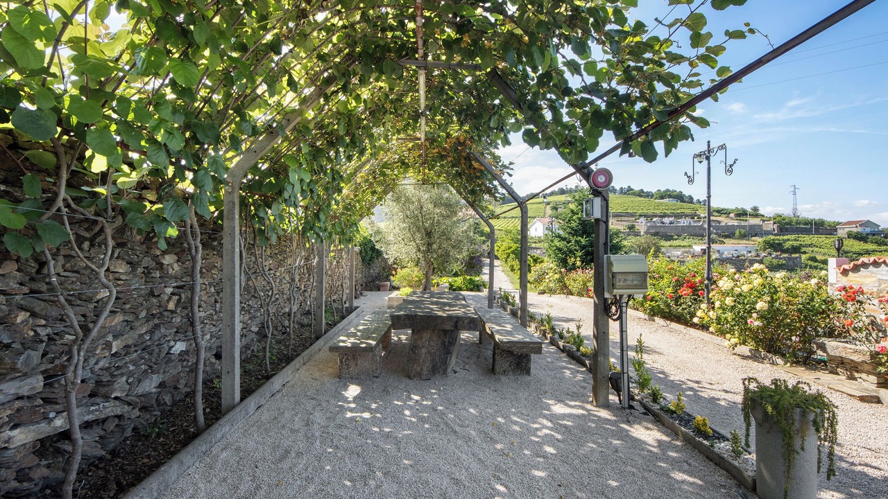 Photo of Outdoor in Provesende
