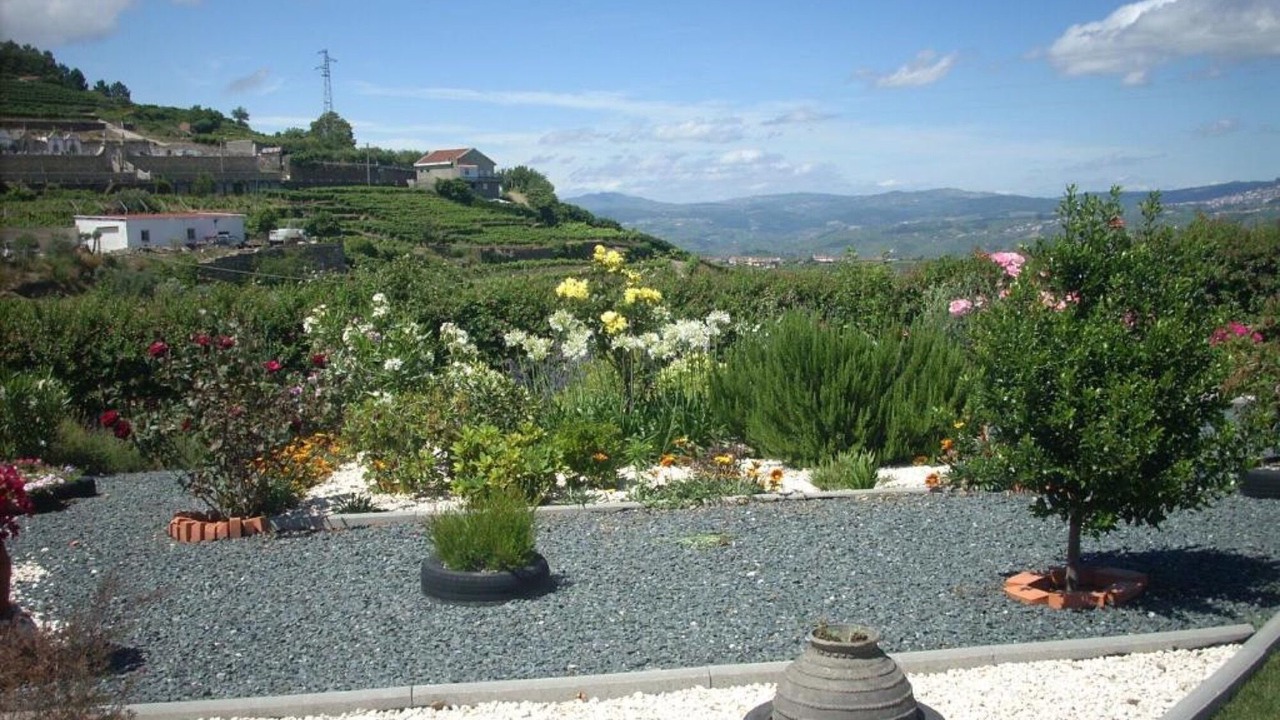 Photo of Outdoor in Provesende