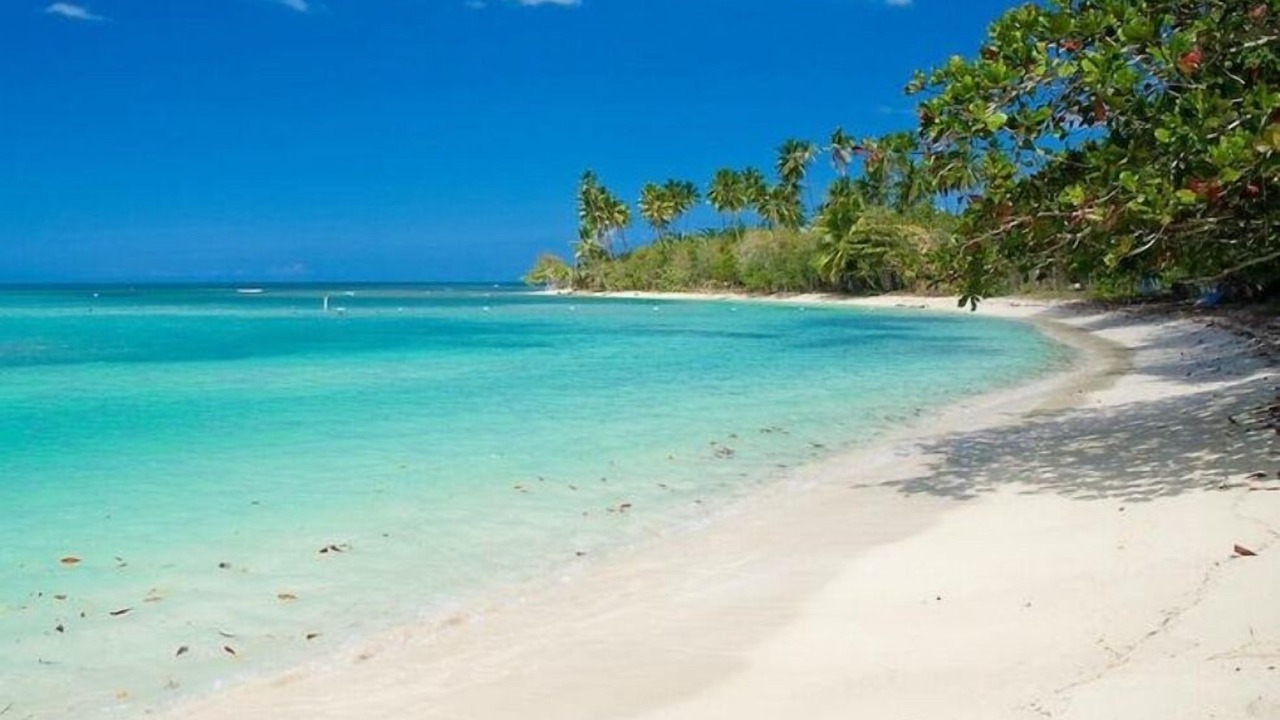 Photo of Others in Cabo Rojo
