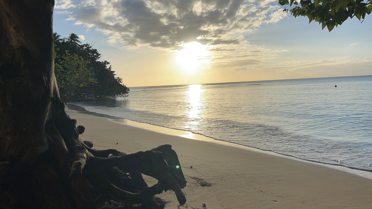 Photo of Others in Cabo Rojo
