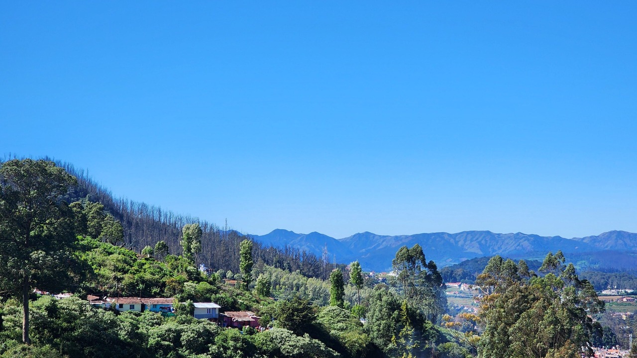 Photo of Others in Ooty