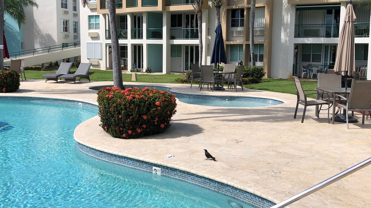 Photo of Outdoor in Miradero