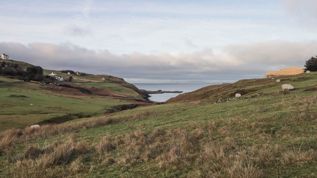 Photo of Others in Milovaig