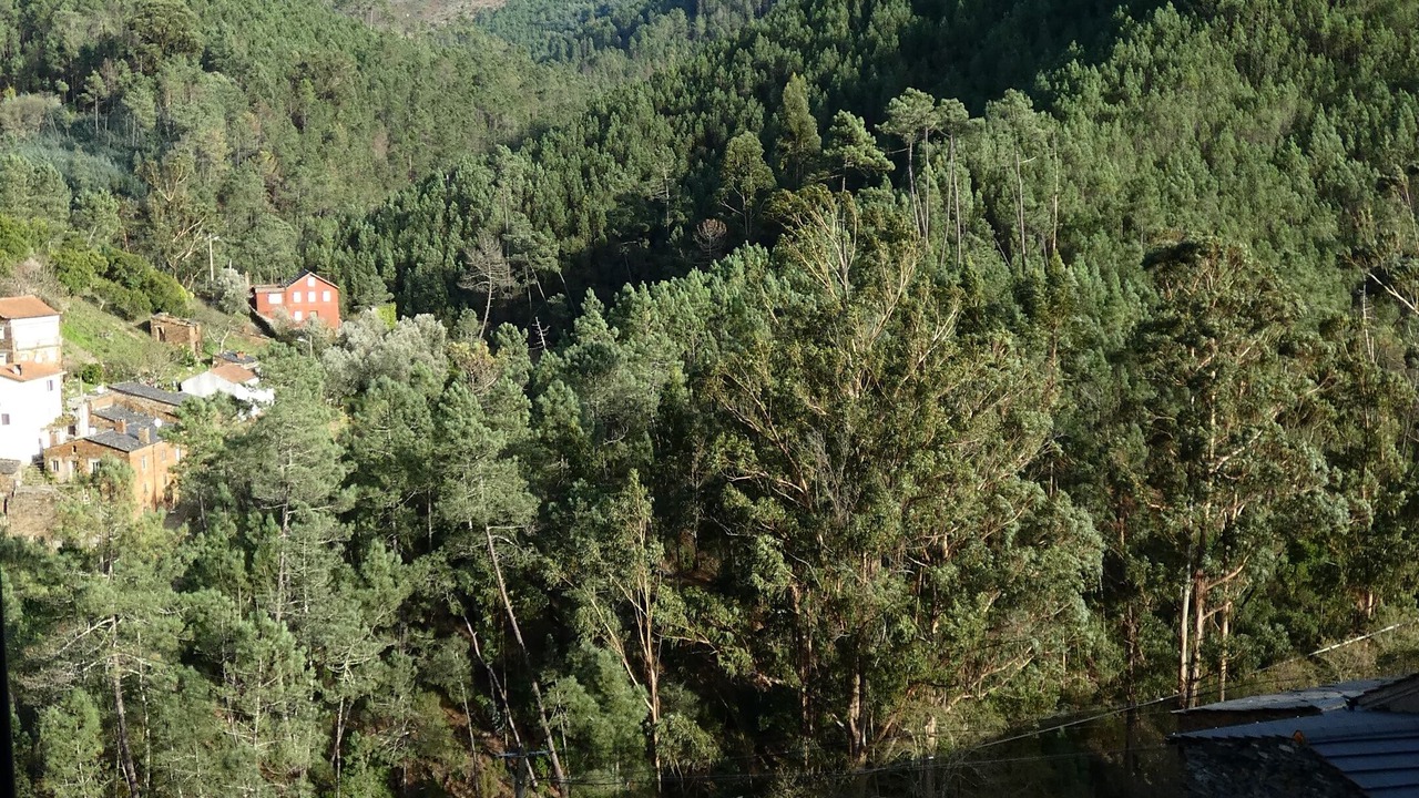 Photo of Outdoor in Balocas