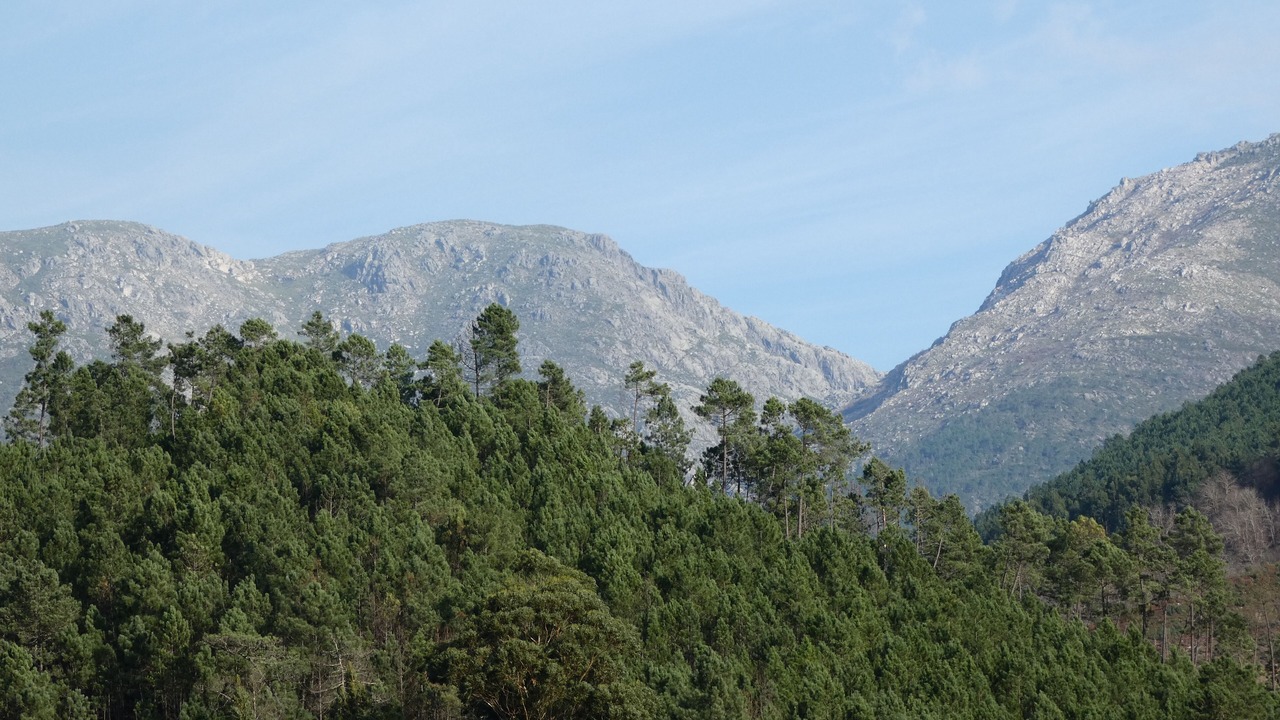 Photo of Others in Balocas