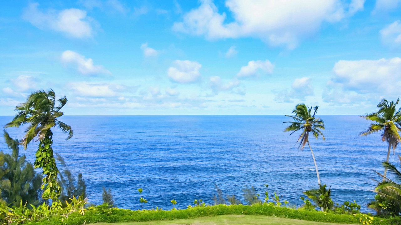 Photo of Others in Hakalau