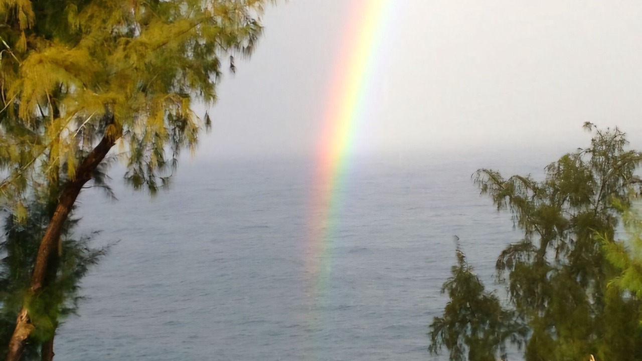 Photo of Others in Hakalau