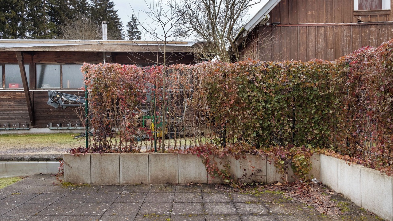 Photo of Outdoor in Titisee-Neustadt