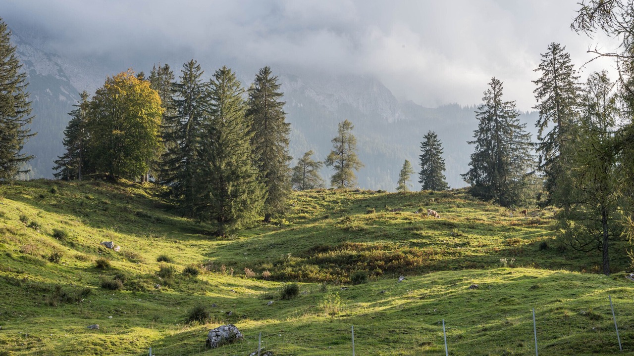Photo of Others in Ehlenbogen