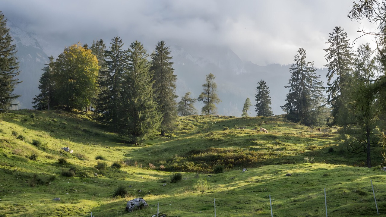Photo of Others in Ehlenbogen