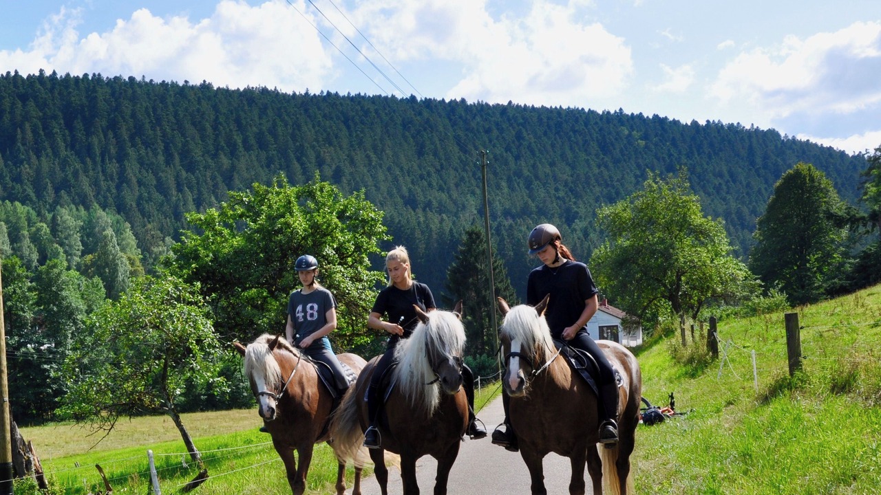 Photo of Others in Ehlenbogen