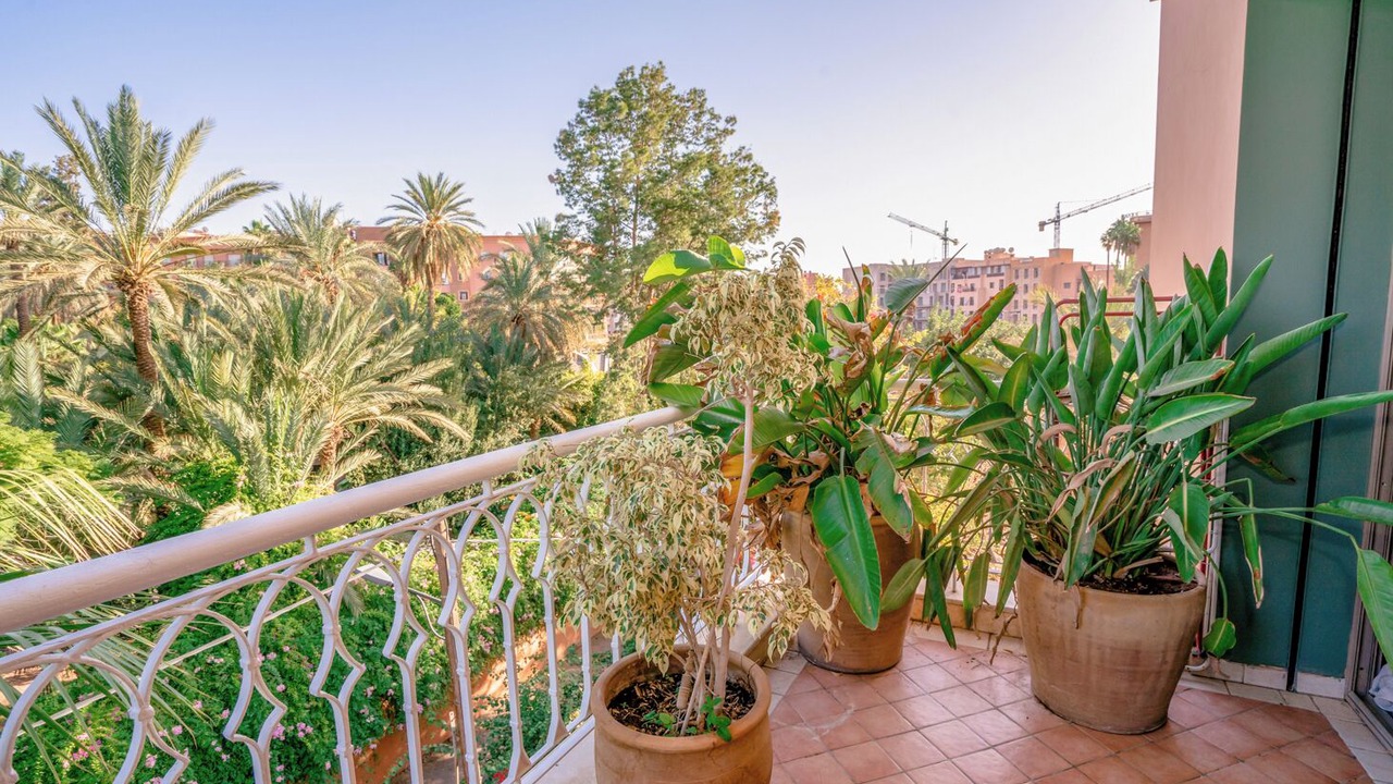 Photo of Outdoor in Semlalia