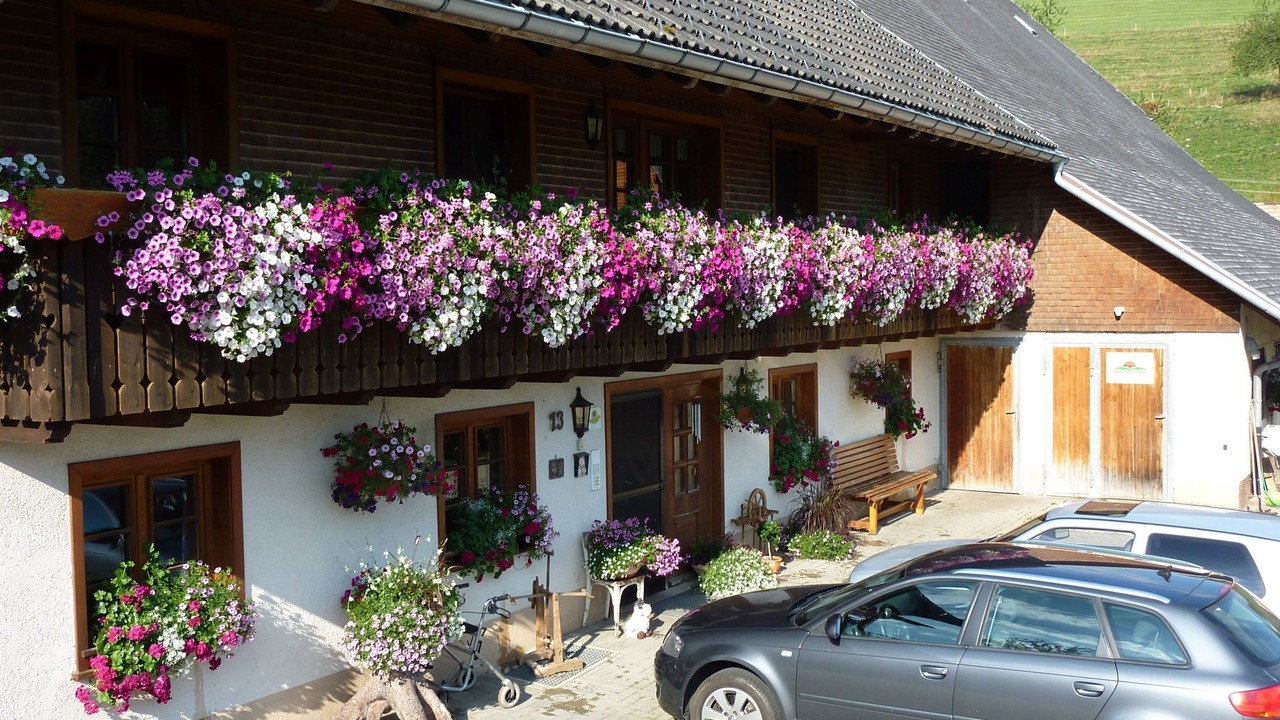 Photo of Outdoor in Breitnau