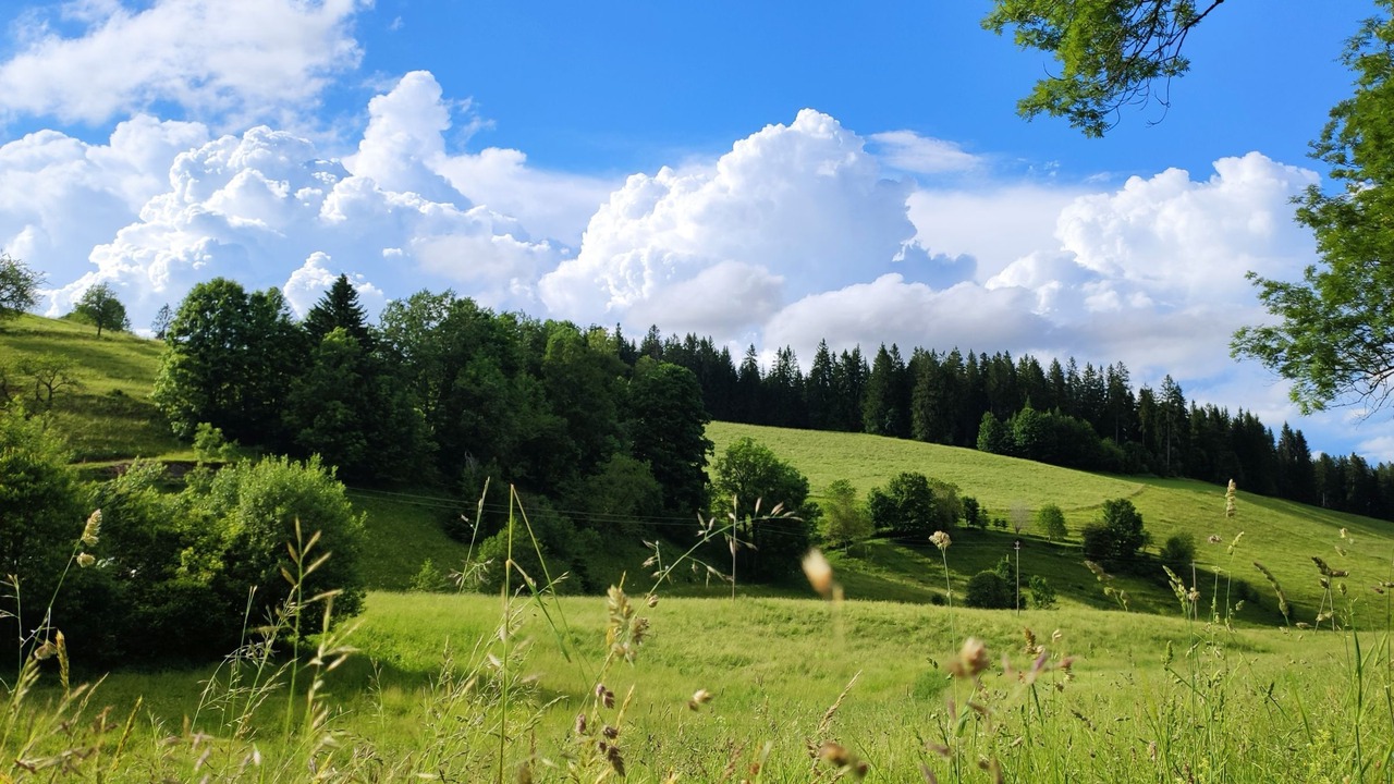 Photo of Others in Breitnau
